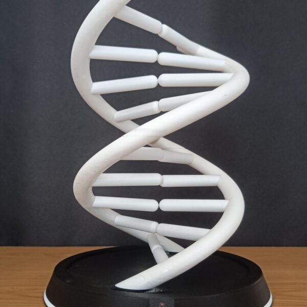 DNAMiniature – Interactive 3D DNA Visualization System